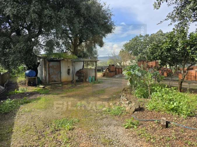 Armazém para Venda em Alcanena e Vila Moreira Foto 6