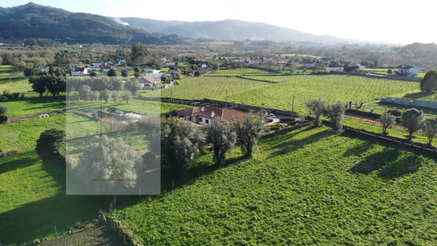 Terreno para Venda em Fontão Foto 11
