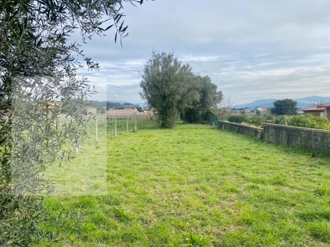 Terreno para Venda em Fontão Foto 14
