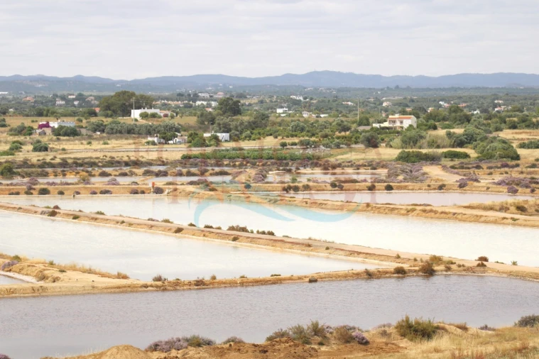 Loja para Venda em Moncarapacho e Fuseta Foto 14