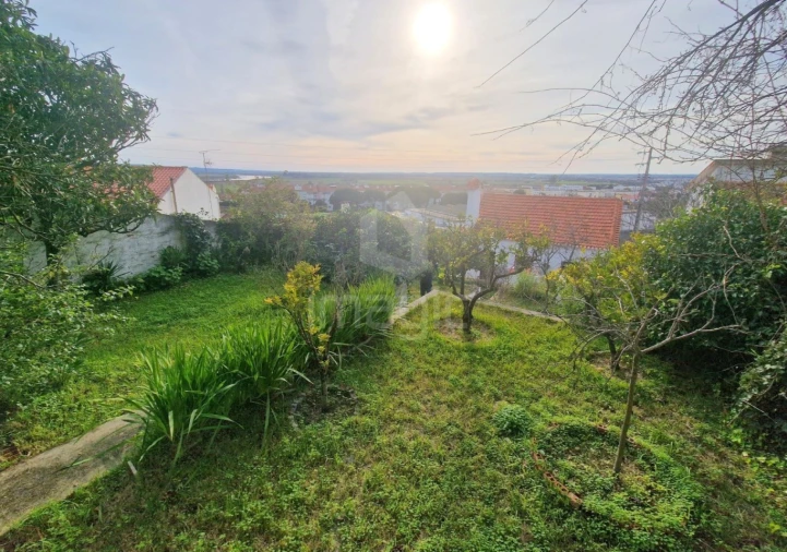 Moradia T3 para Venda em Vila Nova da Barquinha Foto 9