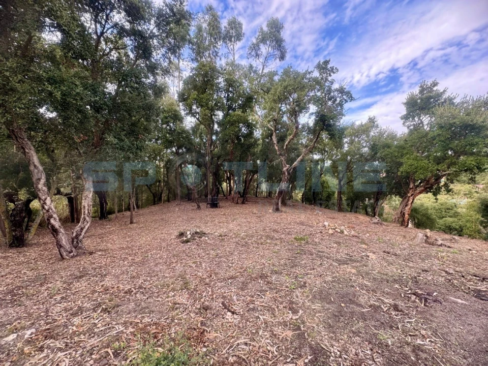 Quinta T11 para Venda em Bucelas Foto 4