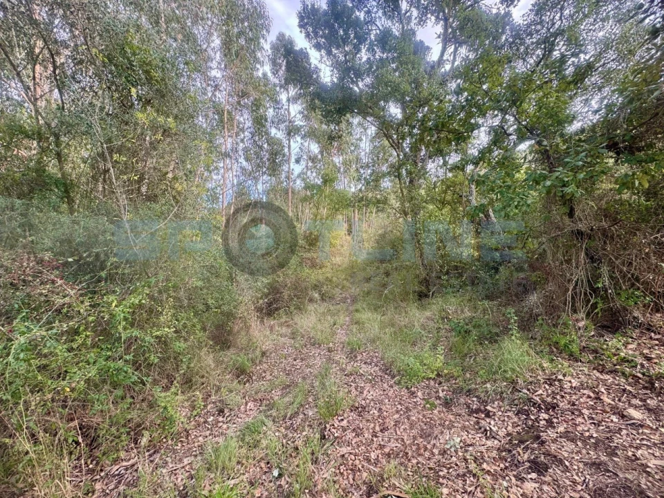 Quinta T11 para Venda em Bucelas Foto 27