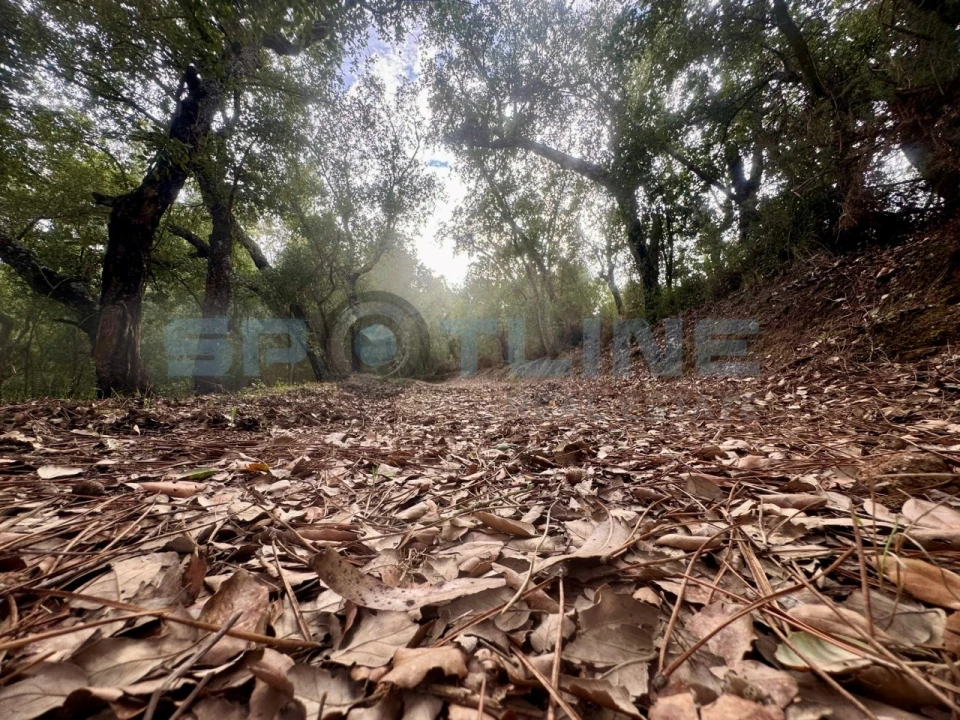 Quinta T11 para Venda em Bucelas Foto 33