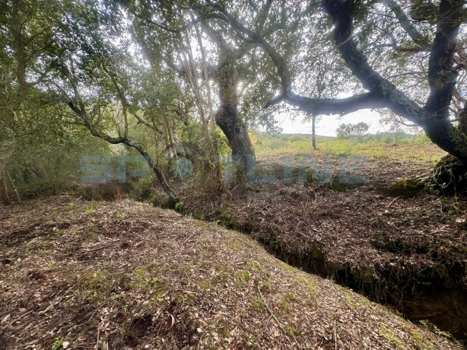 Quinta T11 para Venda em Bucelas Foto 35