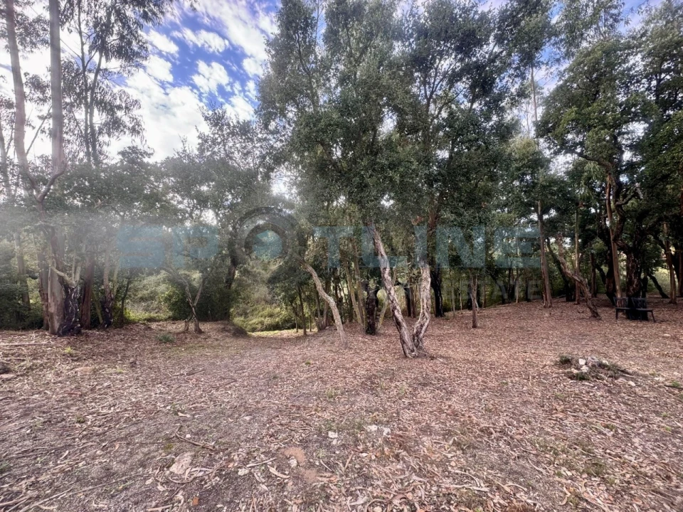 Quinta T11 para Venda em Bucelas Foto 39