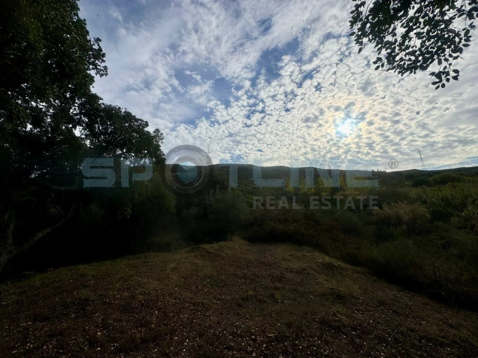 Quinta T11 para Venda em Bucelas Foto 40