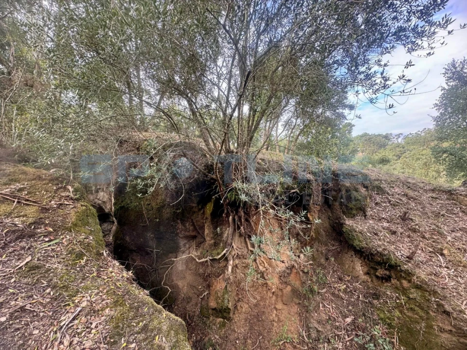 Quinta T11 para Venda em Bucelas Foto 44