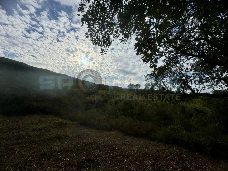 Quinta T11 para Venda em Bucelas Foto 45