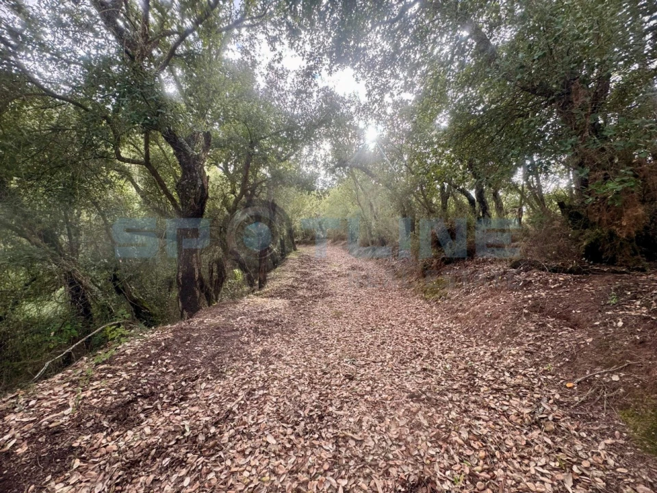 Quinta T11 para Venda em Bucelas Foto 46