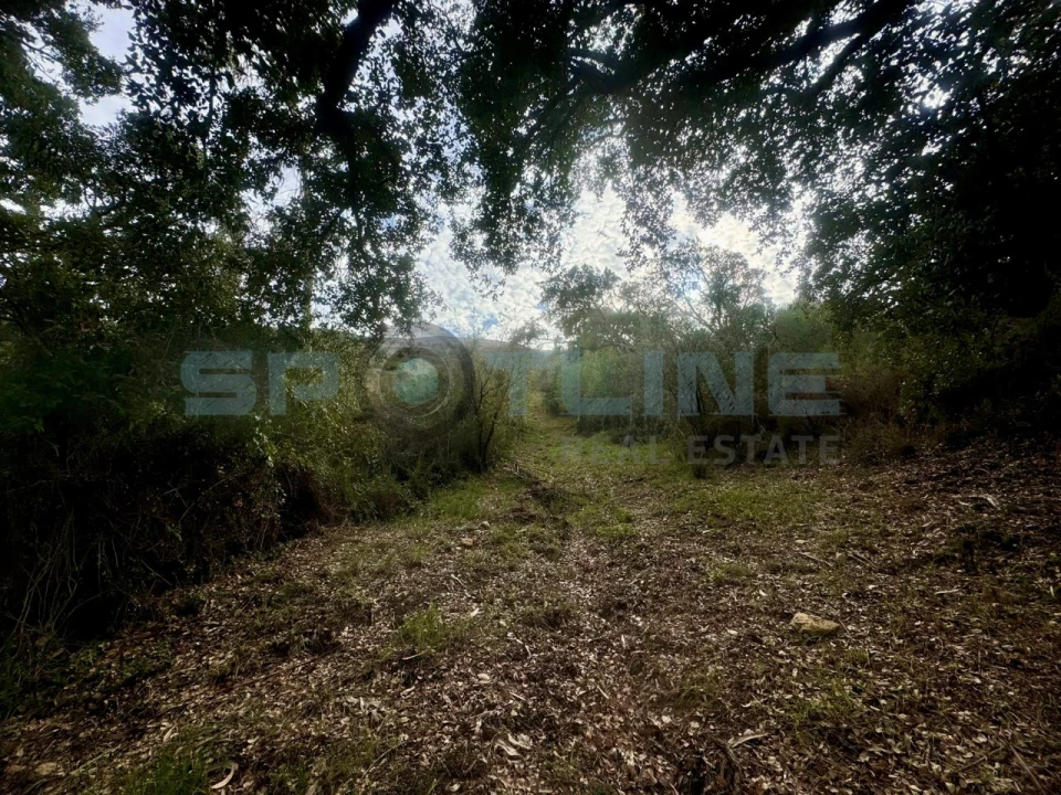 Quinta T11 para Venda em Bucelas Foto 47