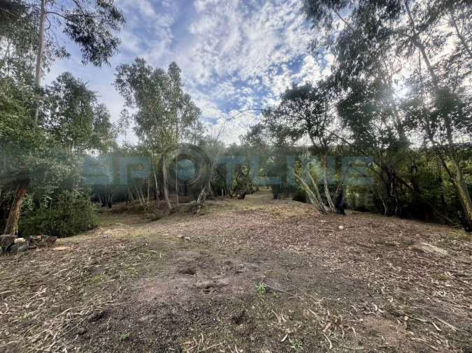 Quinta T11 para Venda em Bucelas Foto 7