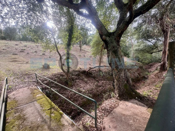 Quinta T11 para Venda em Bucelas Foto 13