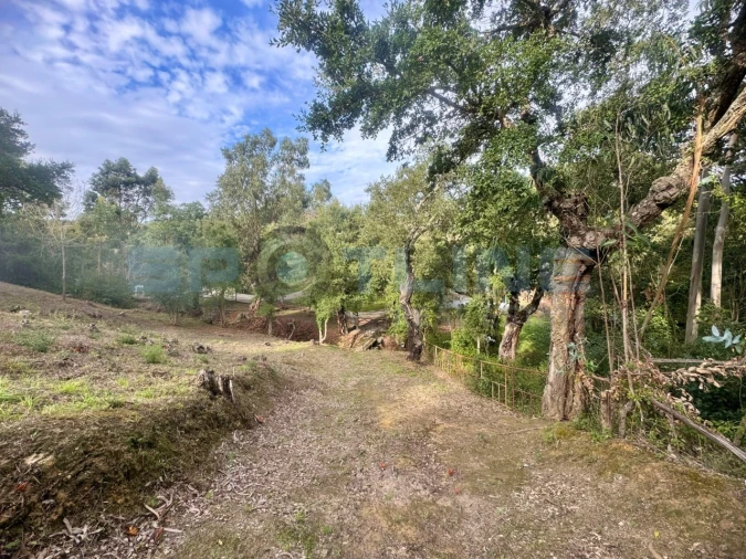 Quinta T11 para Venda em Bucelas Foto 31