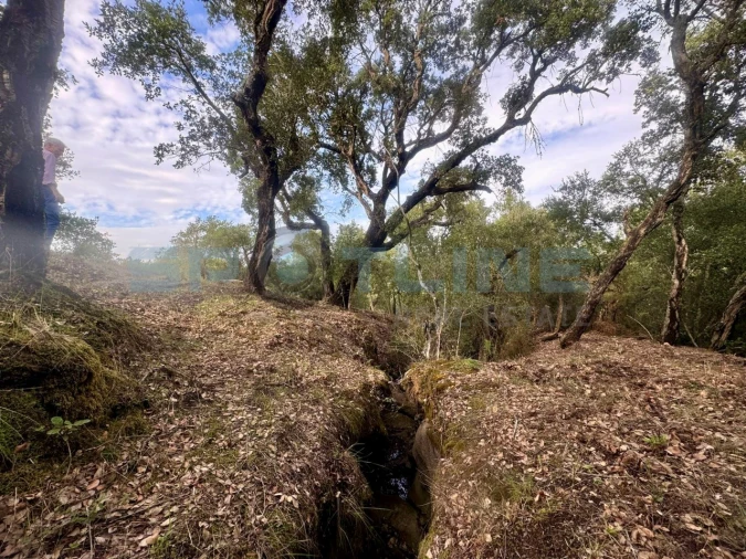 Quinta T11 para Venda em Bucelas Foto 42