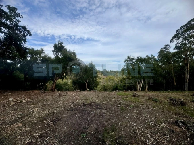 Quinta T11 para Venda em Bucelas Foto 43