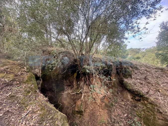 Quinta T11 para Venda em Bucelas Foto 44