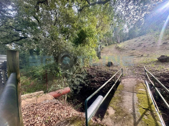 Quinta T11 para Venda em Bucelas Foto 56