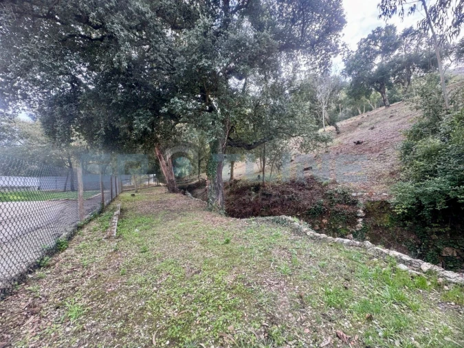 Quinta T11 para Venda em Bucelas Foto 60