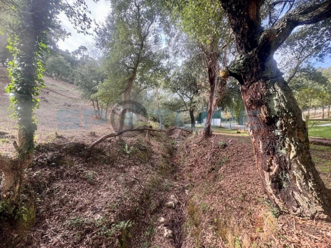 Quinta T11 para Venda em Bucelas Foto 62