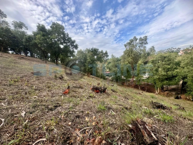 Quinta T11 para Venda em Bucelas Foto 64