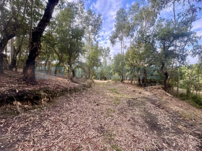 Quinta T11 para Venda em Bucelas Foto 65