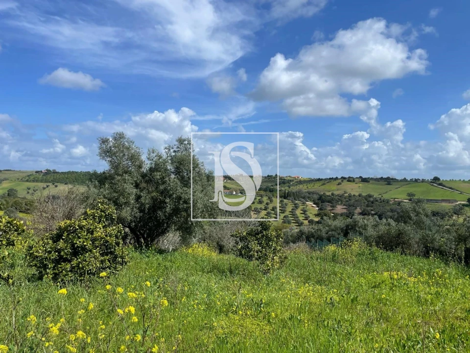 Terreno para Venda em Abitureiras Foto 4