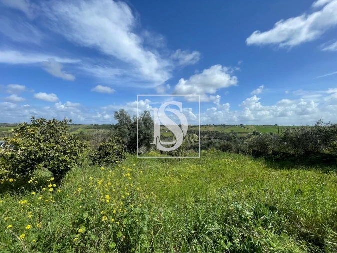 Terreno para Venda em Abitureiras Foto 3