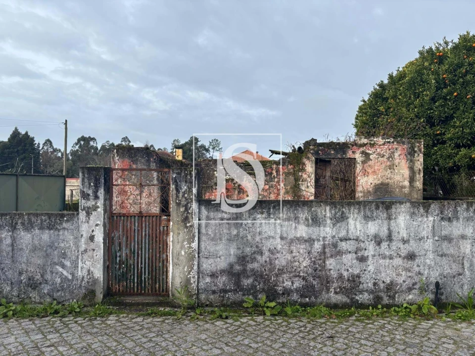 Terreno para Venda em Vila de Punhe Foto 12