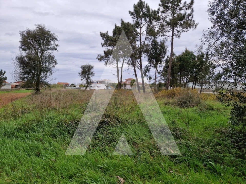 Terreno para Venda em Ouca Foto 6
