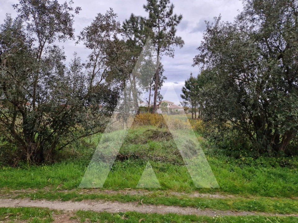 Terreno para Venda em Ouca Foto 7