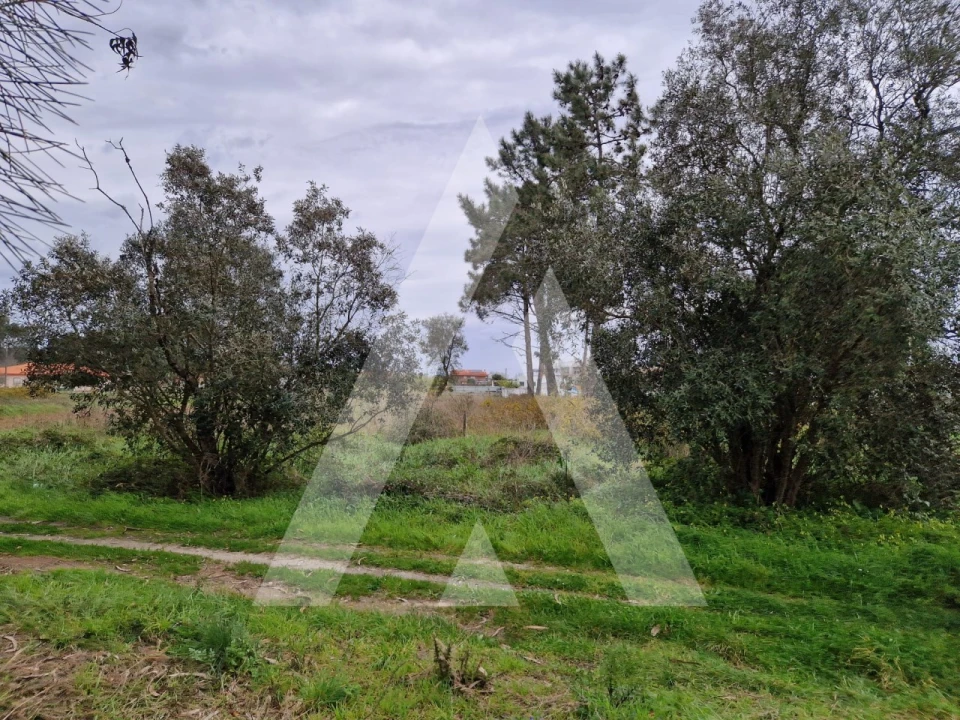 Terreno para Venda em Ouca Foto 8
