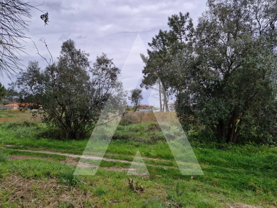Terreno para Venda em Ouca Foto 10