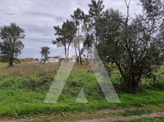 Terreno para Venda em Ouca Foto 3