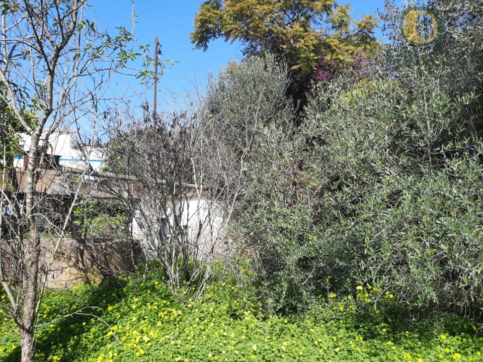 Quinta T4 para Venda em Moncarapacho e Fuseta Foto 4