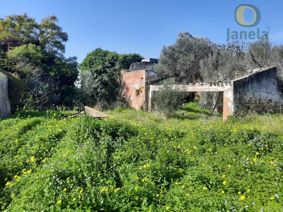 Quinta T4 para Venda em Moncarapacho e Fuseta Foto 5