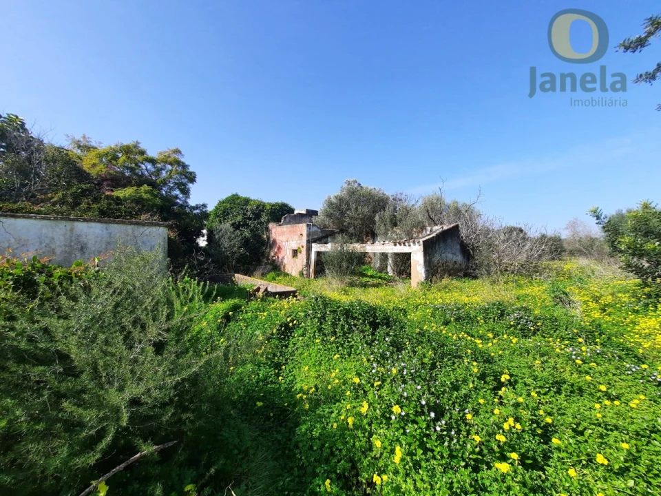 Quinta T4 para Venda em Moncarapacho e Fuseta Foto 1