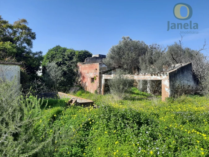 Quinta T4 para Venda em Moncarapacho e Fuseta Foto 2