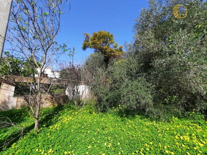 Quinta T4 para Venda em Moncarapacho e Fuseta Foto 3