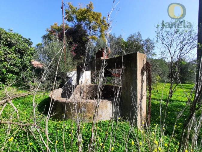 Quinta T4 para Venda em Moncarapacho e Fuseta Foto 6