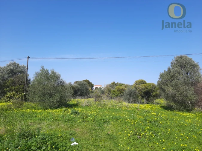Quinta T4 para Venda em Moncarapacho e Fuseta Foto 9