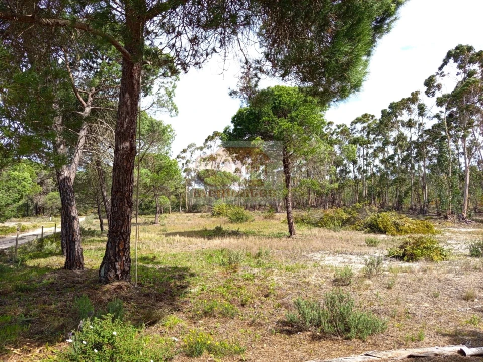 Quinta T1 para Venda em Melides Foto 4