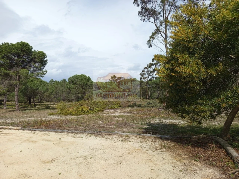 Quinta T1 para Venda em Melides Foto 8