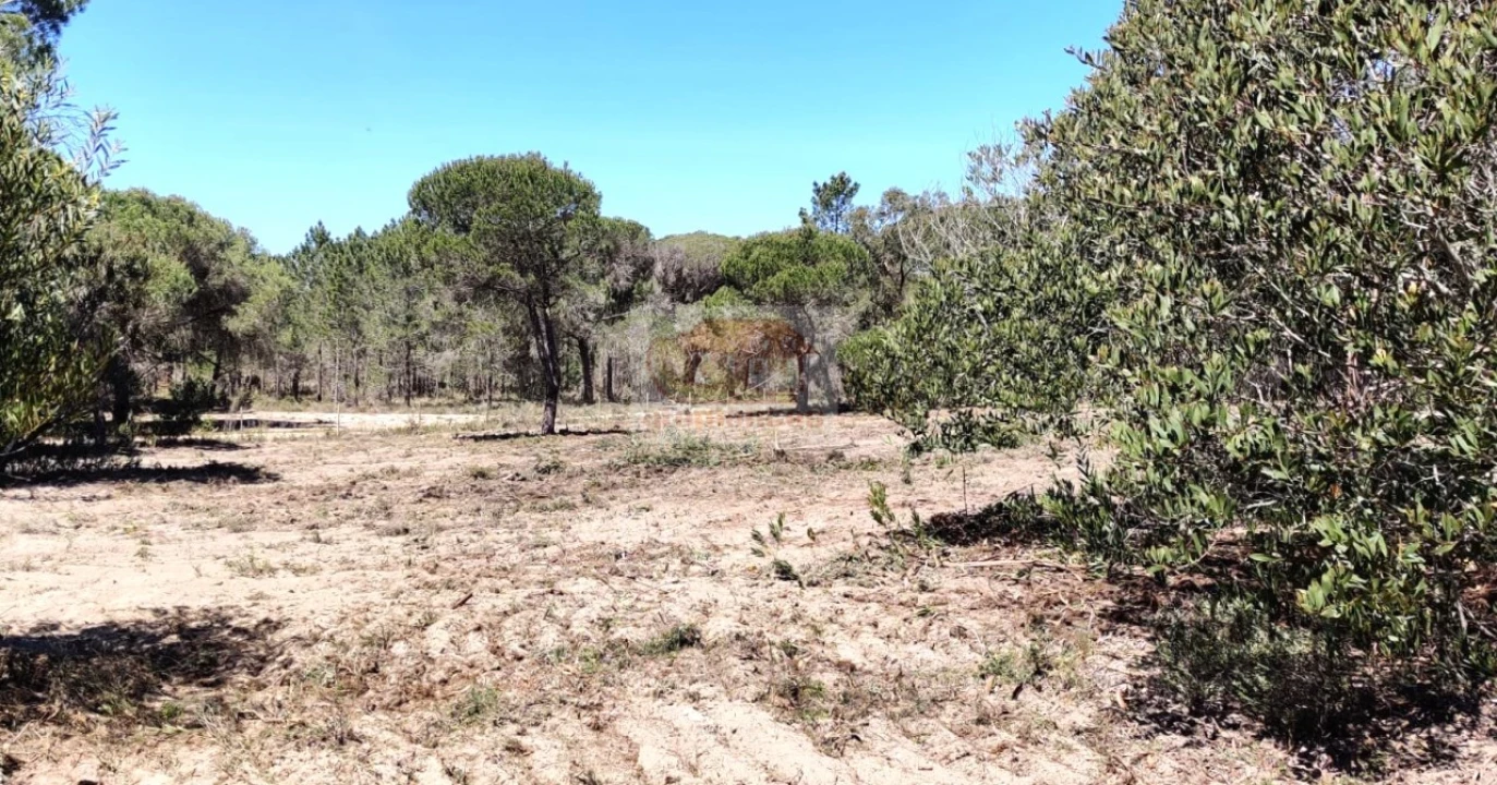 Quinta T1 para Venda em Melides Foto 10