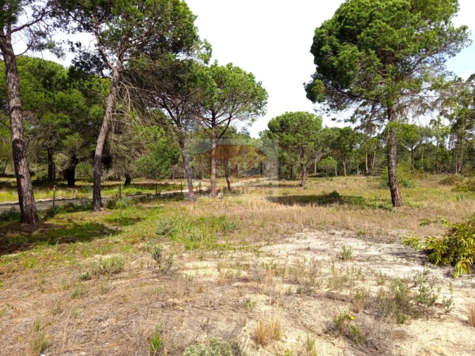 Quinta T1 para Venda em Melides Foto 3