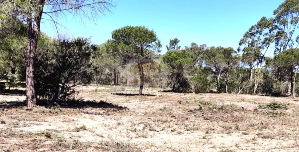 Quinta T1 para Venda em Melides Foto 11