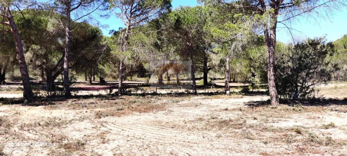 Quinta T1 para Venda em Melides Foto 12