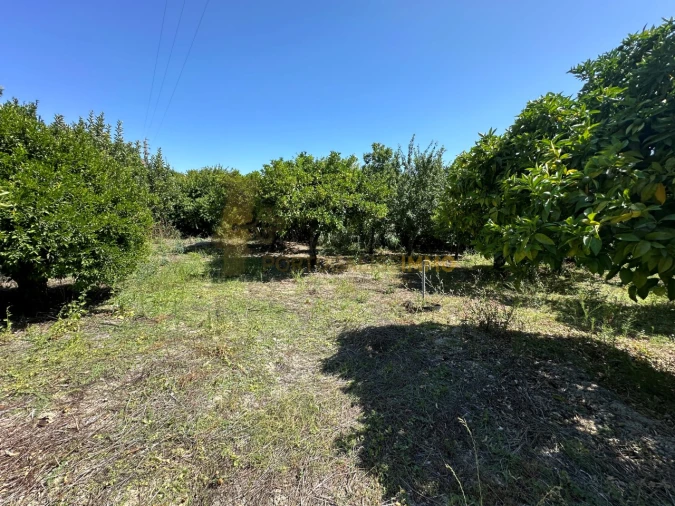 Moradia T4 para Venda em Torres Novas (São Pedro), Lapas e Ribeira Branca Foto 33