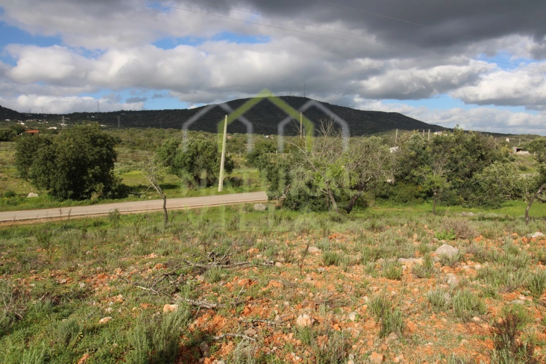 Terreno Agricola ou Rústico para Venda em Conceição e Estoi Foto 1