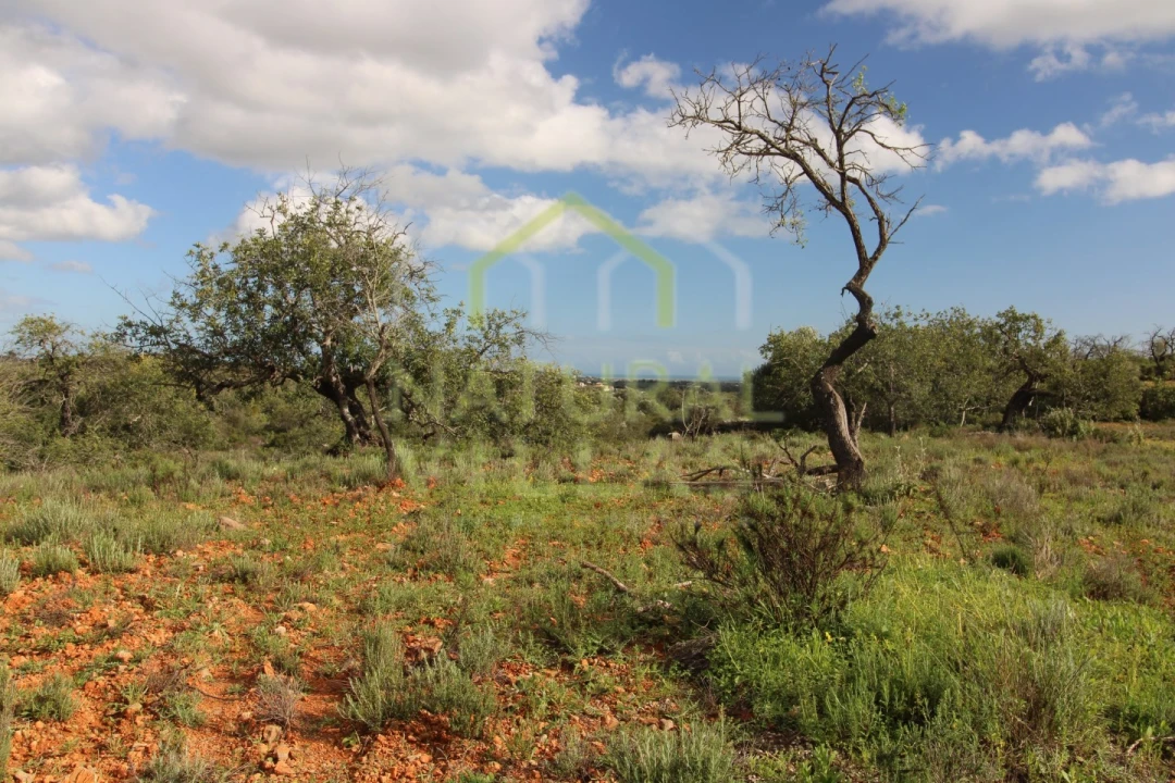 Terreno Agricola ou Rústico para Venda em Conceição e Estoi Foto 3